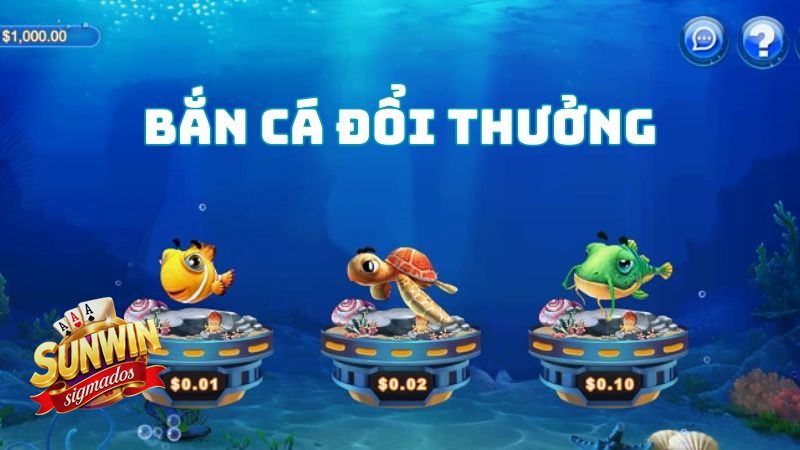 Bắn Cá Hải Tặc - Bảng tóm tắt nhanh cho người mới Bắn Cá Hải Tặc - Bảng tóm tắt nhanh cho người mới