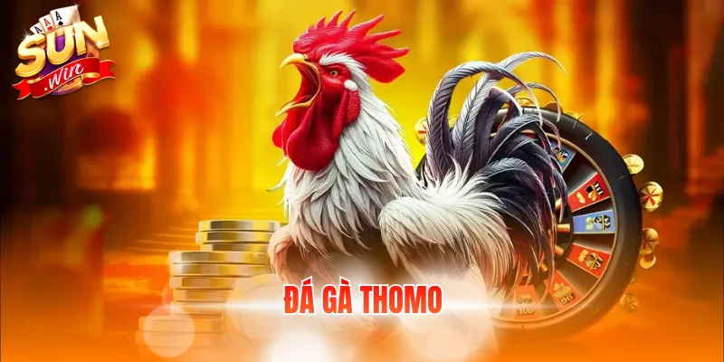 đá gà Thomo